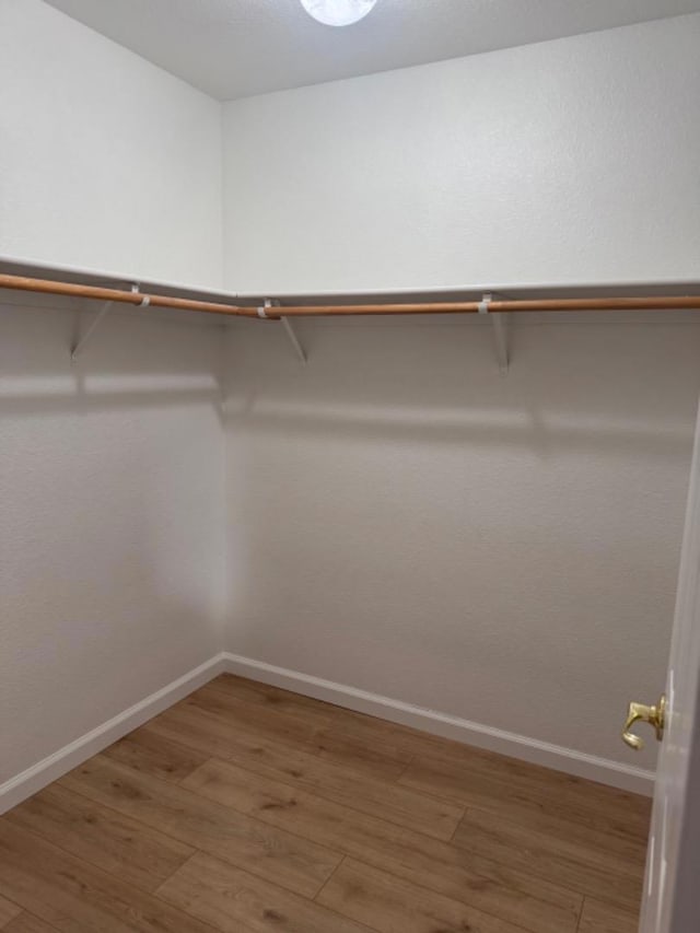 walk in closet with hardwood / wood-style floors