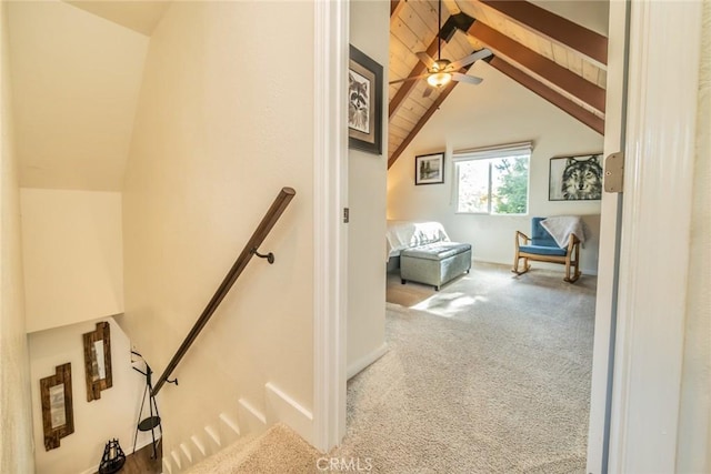 staircase featuring beamed ceiling, carpet flooring, high vaulted ceiling, and ceiling fan