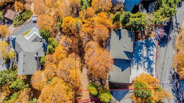 1181 Voltaire Dr, Lake Arrowhead, CA 92352 - view of subject property with property boundaries highlighted