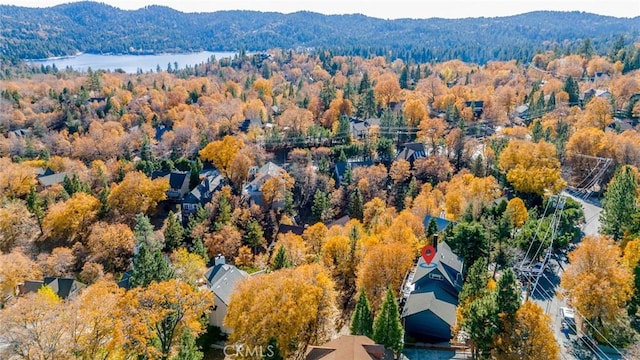 1181 Voltaire Dr, Lake Arrowhead, CA 92352 - bird's eye view of a forest