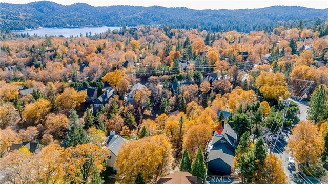 1181 Voltaire Dr, Lake Arrowhead, CA 92352 - bird's eye view of a heavily wooded area