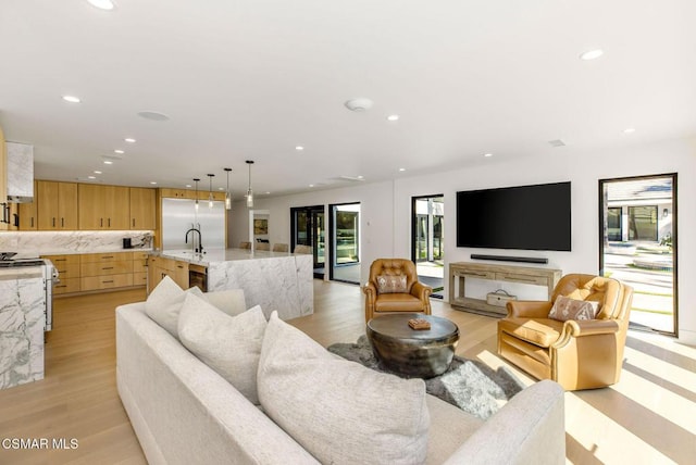 living room with light wood-type flooring and sink