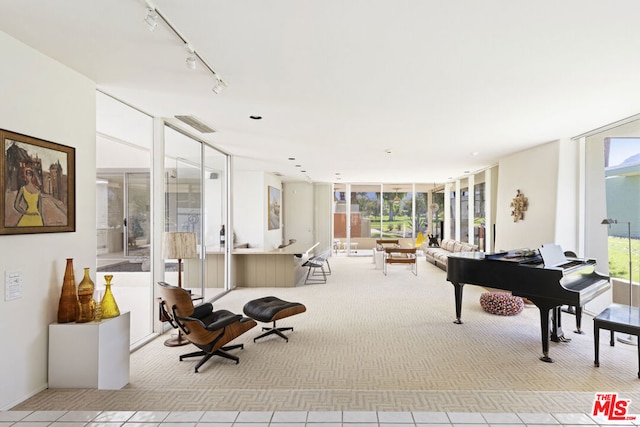 miscellaneous room with track lighting, floor to ceiling windows, and plenty of natural light