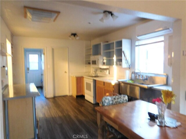 kitchen with dark hardwood / wood-style floors and white appliances