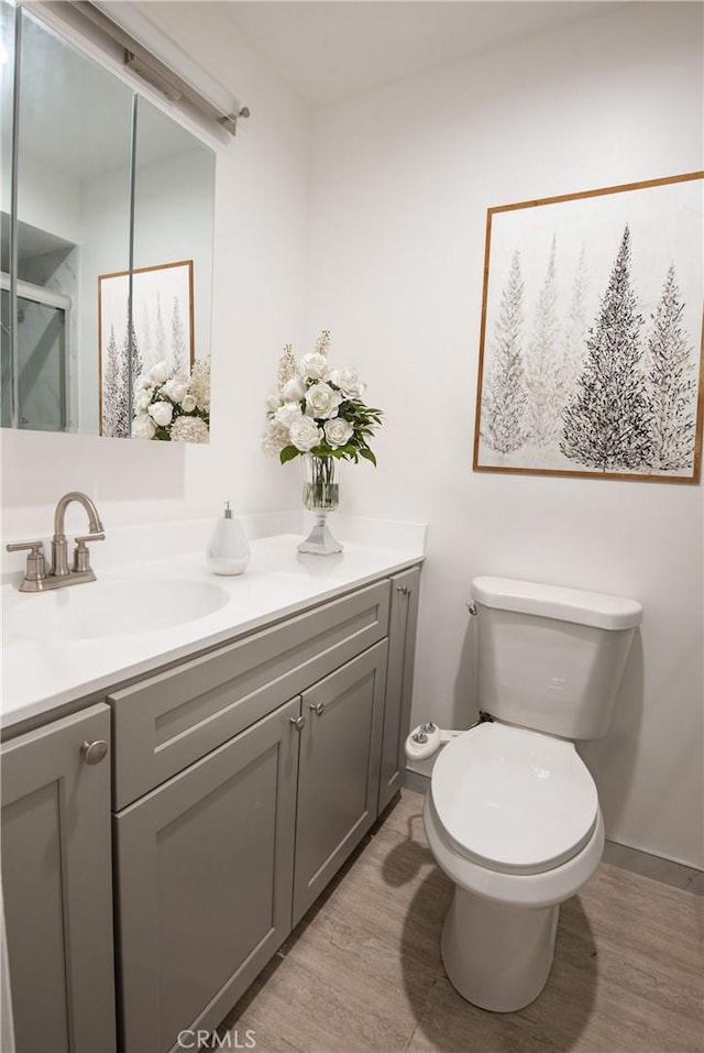 bathroom featuring vanity, wood-type flooring, and toilet