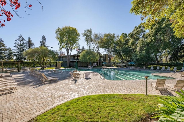 view of swimming pool