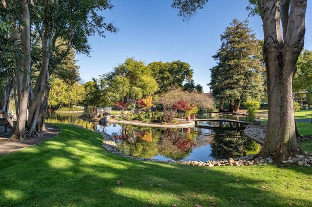 view of home's community with a yard and a water view