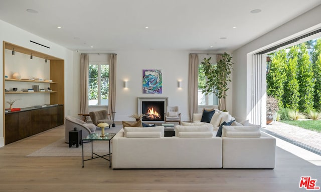 living room featuring a wealth of natural light and light hardwood / wood-style flooring