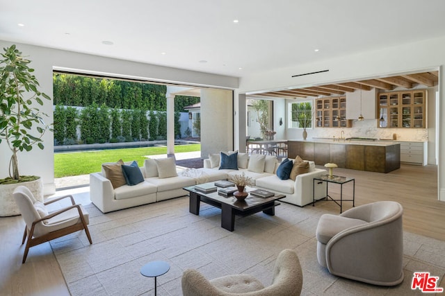 living room with light hardwood / wood-style flooring, a healthy amount of sunlight, and sink