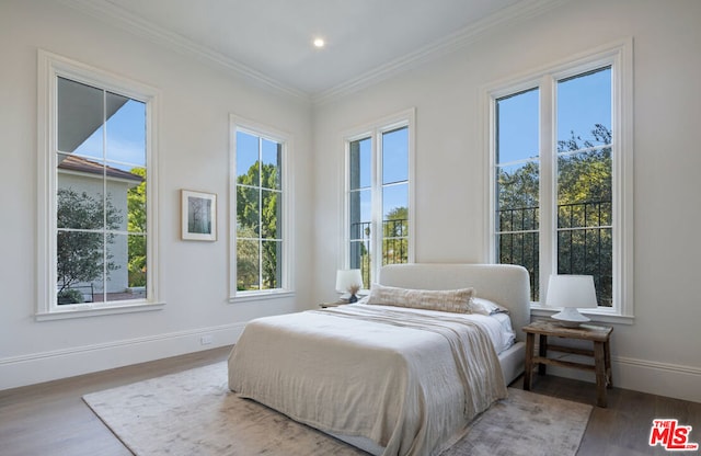 bedroom with hardwood / wood-style floors and multiple windows