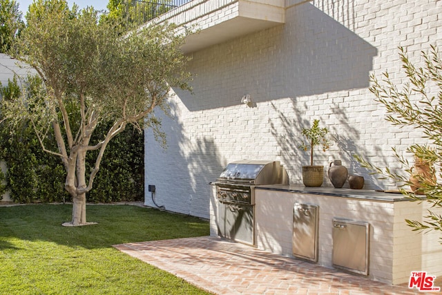 view of patio / terrace featuring area for grilling and exterior kitchen