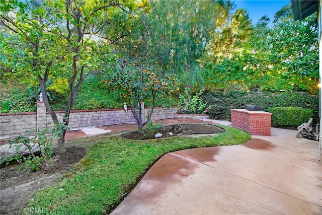 view of yard with a patio area