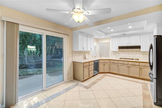 kitchen with appliances with stainless steel finishes, a raised ceiling, plenty of natural light, and sink