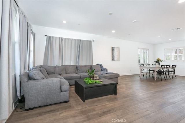 living room featuring wood-type flooring