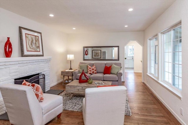 living room with a fireplace and hardwood / wood-style flooring