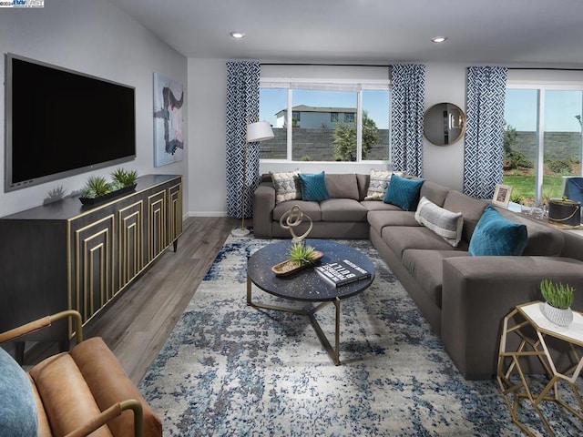 living room with dark hardwood / wood-style floors and plenty of natural light