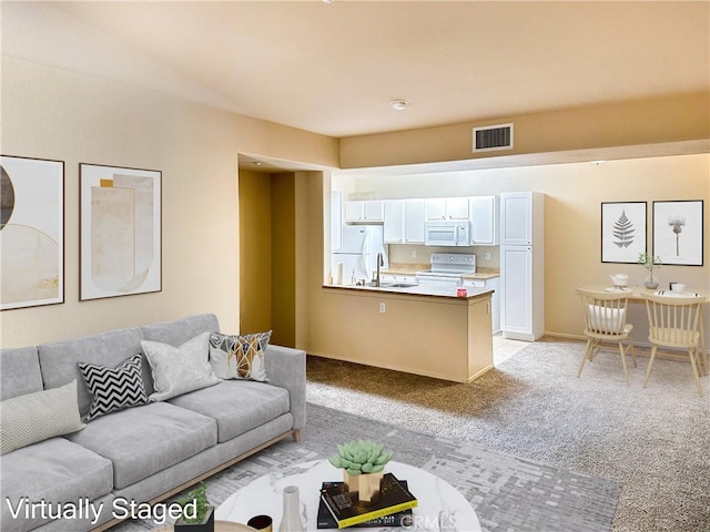 carpeted living room with sink