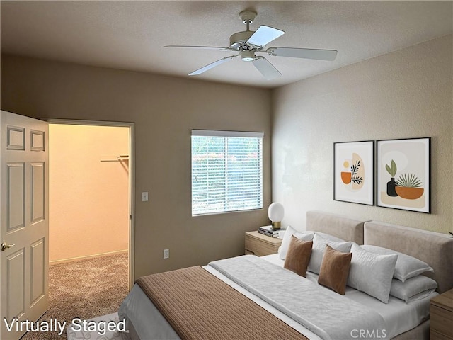 bedroom with carpet flooring, ceiling fan, a spacious closet, and a closet