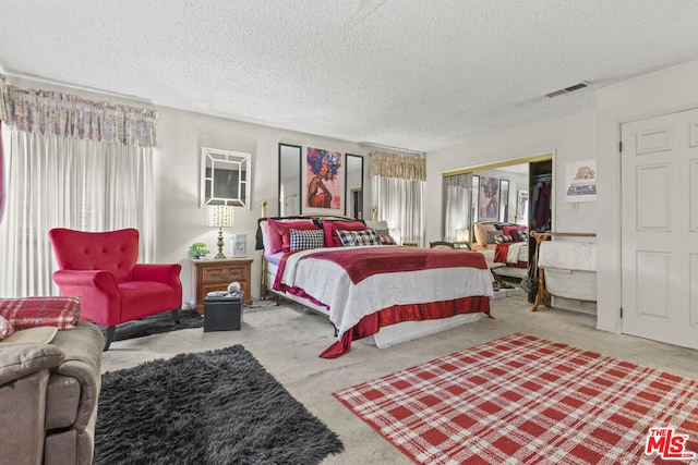 carpeted bedroom featuring multiple windows, a closet, and a textured ceiling