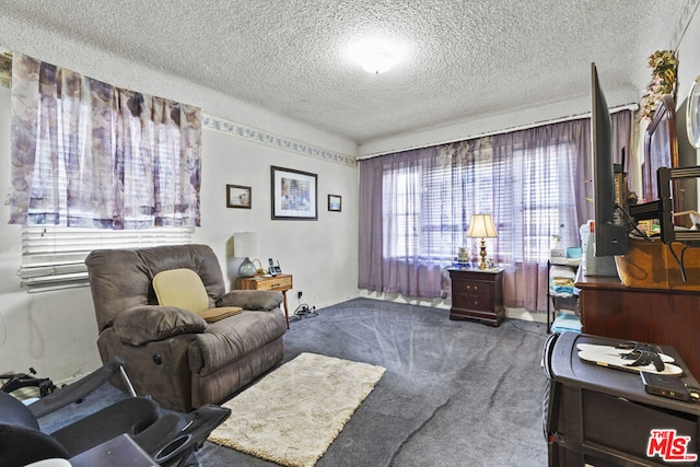 carpeted living room with a textured ceiling