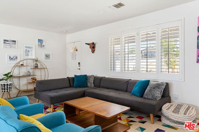 living room with wood-type flooring