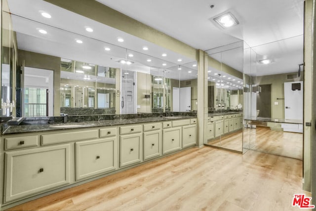 bathroom with vanity and wood-type flooring