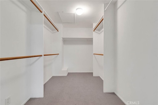 spacious closet with light carpet