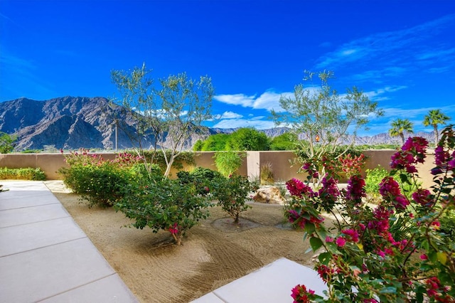 view of yard with a mountain view and a patio area