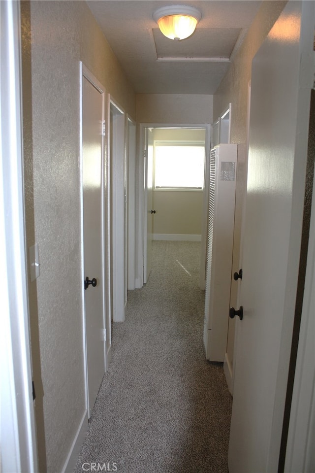 corridor with light colored carpet