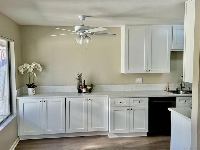 kitchen with white cabinetry, dishwasher, and hardwood / wood-style floors