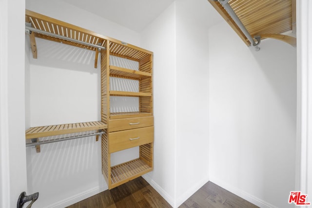 walk in closet featuring dark wood-type flooring