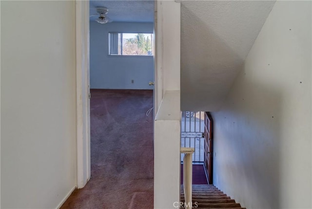 staircase with carpet flooring and a textured ceiling