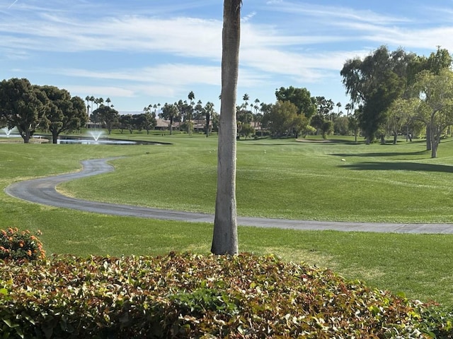 view of property's community featuring a lawn