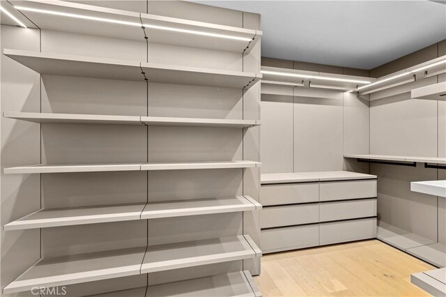 walk in closet featuring light hardwood / wood-style flooring