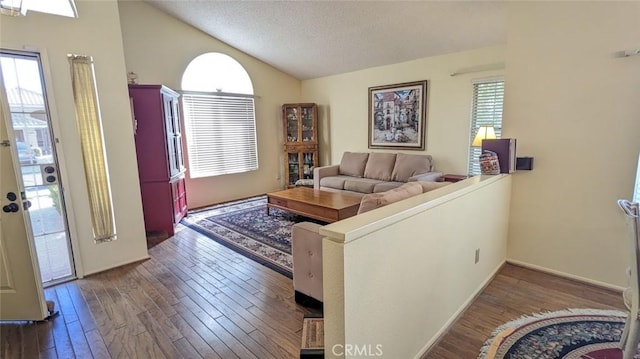 living room featuring lofted ceiling, wood-type flooring, and a textured ceiling