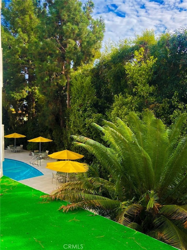 view of home's community with a patio area and a pool