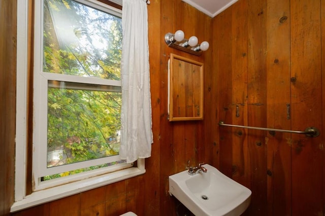 bathroom featuring wood walls and sink