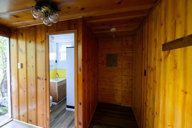 hall with dark hardwood / wood-style flooring, wooden ceiling, and wooden walls