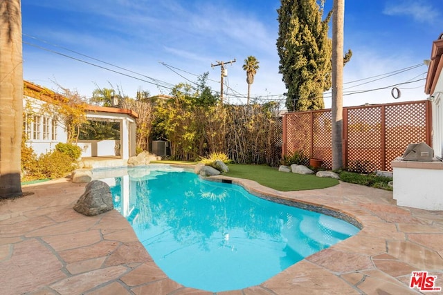 view of pool featuring a patio area