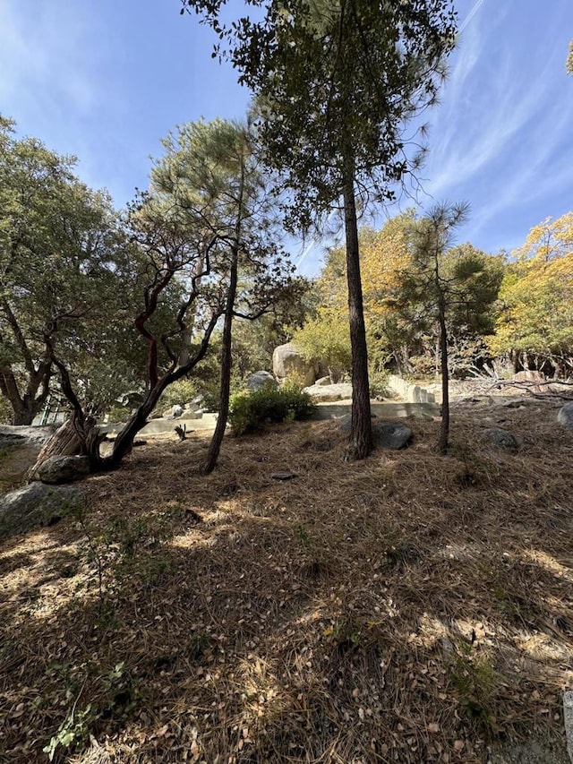 53642 Jeffrey Pine Rd, Idyllwild CA, 92549 land for sale