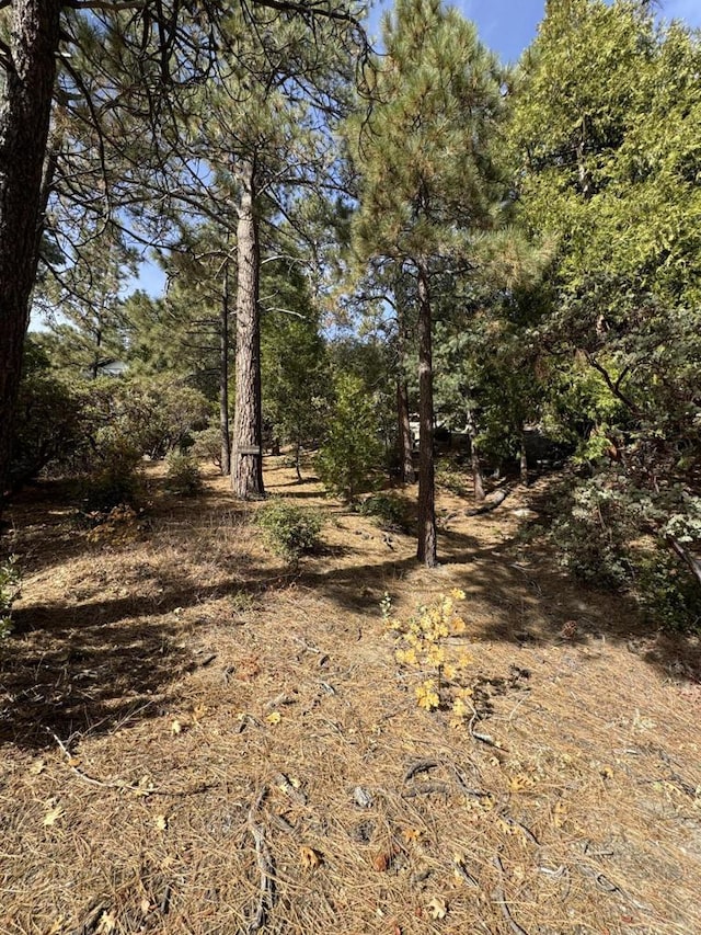 Listing photo 3 for 53642 Jeffrey Pine Rd, Idyllwild CA 92549