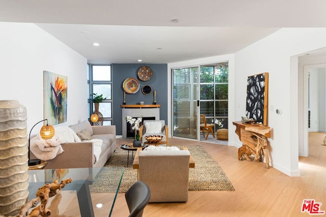 living room with light hardwood / wood-style flooring