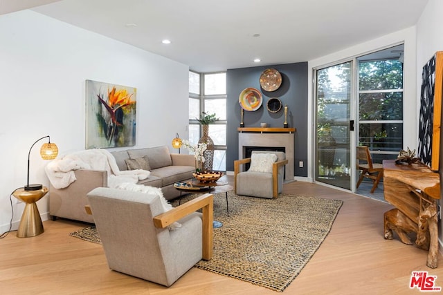 living room featuring light hardwood / wood-style flooring and a wall of windows