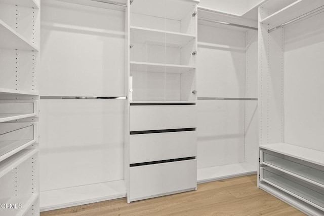 spacious closet with wood-type flooring