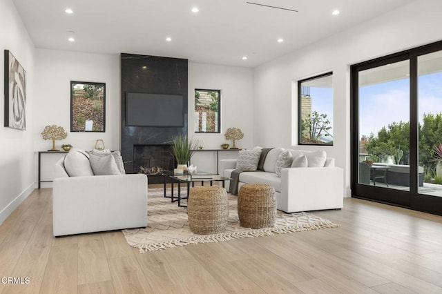 living room with a fireplace and light hardwood / wood-style flooring