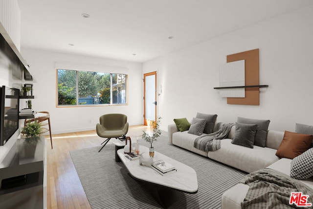 living room with light hardwood / wood-style floors