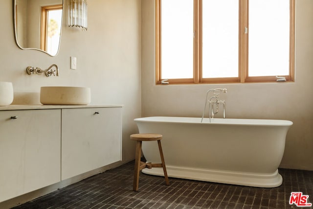 bathroom with a bathing tub and sink