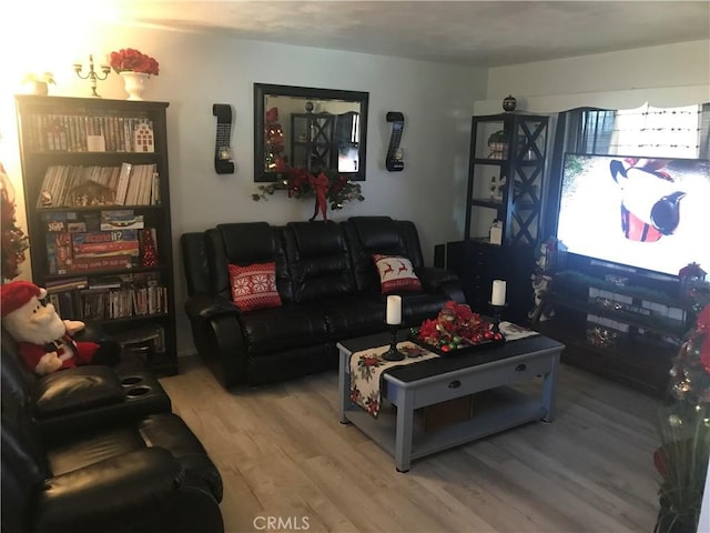 living room with hardwood / wood-style flooring