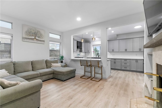 living room with light hardwood / wood-style floors and sink