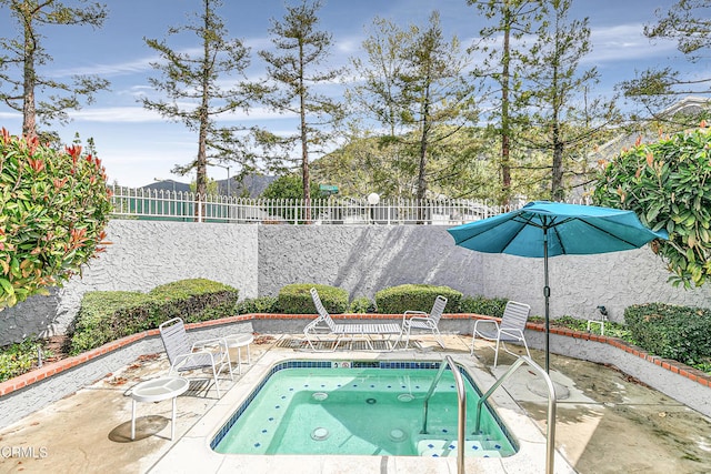 view of swimming pool with an in ground hot tub and a patio